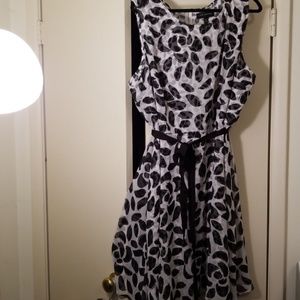 Lane Bryant Dress